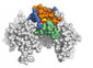 Pesquisa publicada na Nature Neuroscience descreve a descoberta de área no cérebro na qual o álcool atua. Estudo pode ajudar no desenvolvimento de tratamentos para alcoolismo ou epilepsia. Pesquisa publicada na Nature Neuroscience descreve a descoberta de área no cérebro na qual o álcool atua. Estudo pode ajudar no desenvolvimento de tratamentos para alcoolismo ou epilepsia.