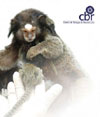 Edição especial da revista do Centro de Biologia da Reprodução (CBR) Edição especial da revista do Centro de Biologia da Reprodução (CBR)