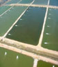 Aquicultura Aquicultura