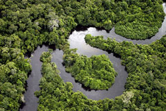 Amazônia