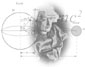 Curso de extens&atilde;o Einstein no Terceiro Mil&ecirc;nio abre nova turma
