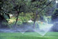Controle de umidade do solo reduz gastos com irrigação de mudas Controle de umidade do solo reduz gastos com irrigação de mudas
