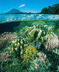 Oceanografia Oceanografia