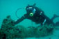 Mergulhadores do Projeto Resgate Barra Sul encontram no litoral de Santa Catarina naufrágio que pode ser o mais antigo já identificado no Brasil (foto: divulgação) Mergulhadores do Projeto Resgate Barra Sul encontram no litoral de Santa Catarina naufrágio que pode ser o mais antigo já identificado no Brasil (foto: divulgação)