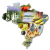 Turismo: oportunidades no mercado de trabalho Turismo: oportunidades no mercado de trabalho