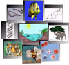 Zoologia Zoologia